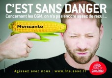 GMO_Corn_Monsanto